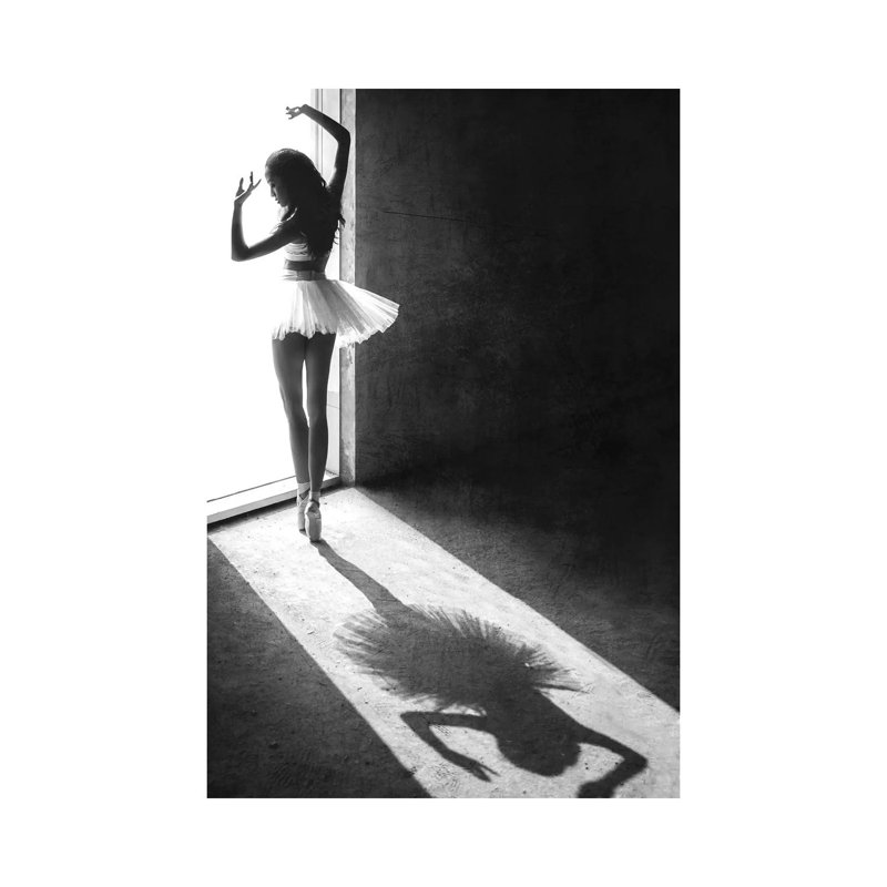 Shadow Dance by Sebastian Kisworo - Print on Canvas, Wrapped Canvas, 45.72cm H x 30.48cm W x 1.91cm D