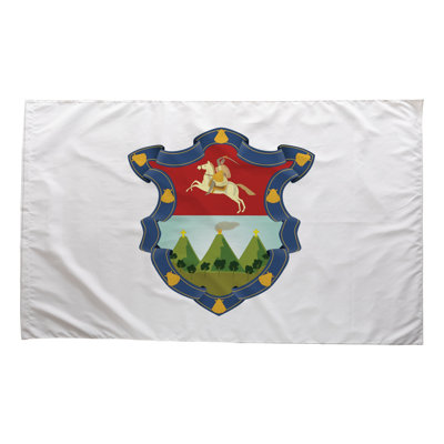 Guatemala City Flag — Outdoor Flag