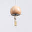 Bithia 1 - Light Polished Chrome Pendant