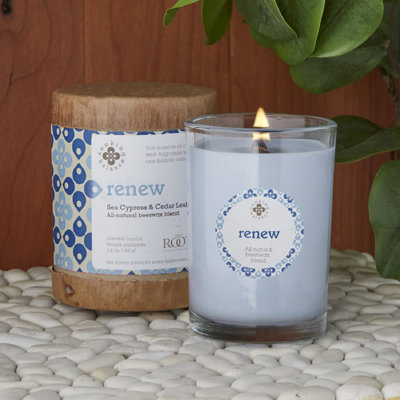 Renew Seaside Cypress & Cedarleaf Scented Jar Candle