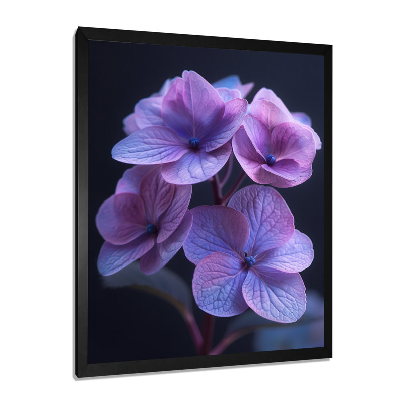 Beauté éthérée, hortensia bleu mauve, photo II - art mural hortensia, H 24 po x l 32 po, Cadre simple noir