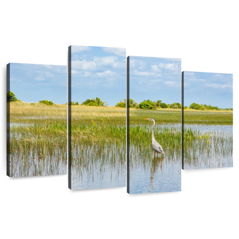 Oiseau dans le parc national des Everglades, 32" H x 52" W