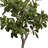 47.5 " H Faux Tree in Plastic Planter