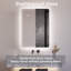 Miroir d'éclairage pour armoire à pharmacie à fixation en surface 20 po x H 28 po Kerria avec 2 tablettes réglables