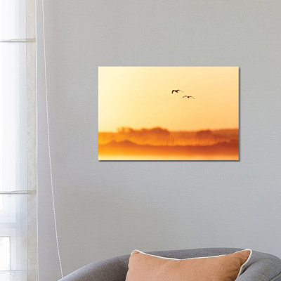 Golden Morning 1 Piece Wrapped Canvas Wall Art