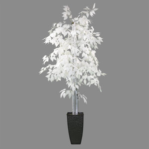6 Foot Designer White Ficus Tree In Black Metal Pot