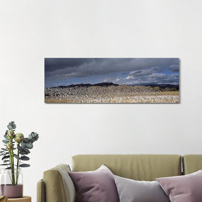 Flock Of Snow Geese Flying, Bosque Del Apache National Wildlife Reserve, Socorro County, New Mexico, USA #4 - Wrapped Canvas Panoramic Print