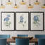 Farmhouse Periwinkle I, toile encadrée de qualité supérieure - prête à être accrochée-69983407-69983408