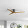 Montego 52'' Ceiling Fan with LED Lights