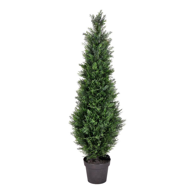 Topiaire de cèdre Yarbro en pot, H 48 po x l 12 po x P 12 po