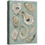 Illustration de arrangement de coquille d'huître douce sarcelle, images de salle de bain, impression sur toile encadrée, impression numérique-132064036-132064037