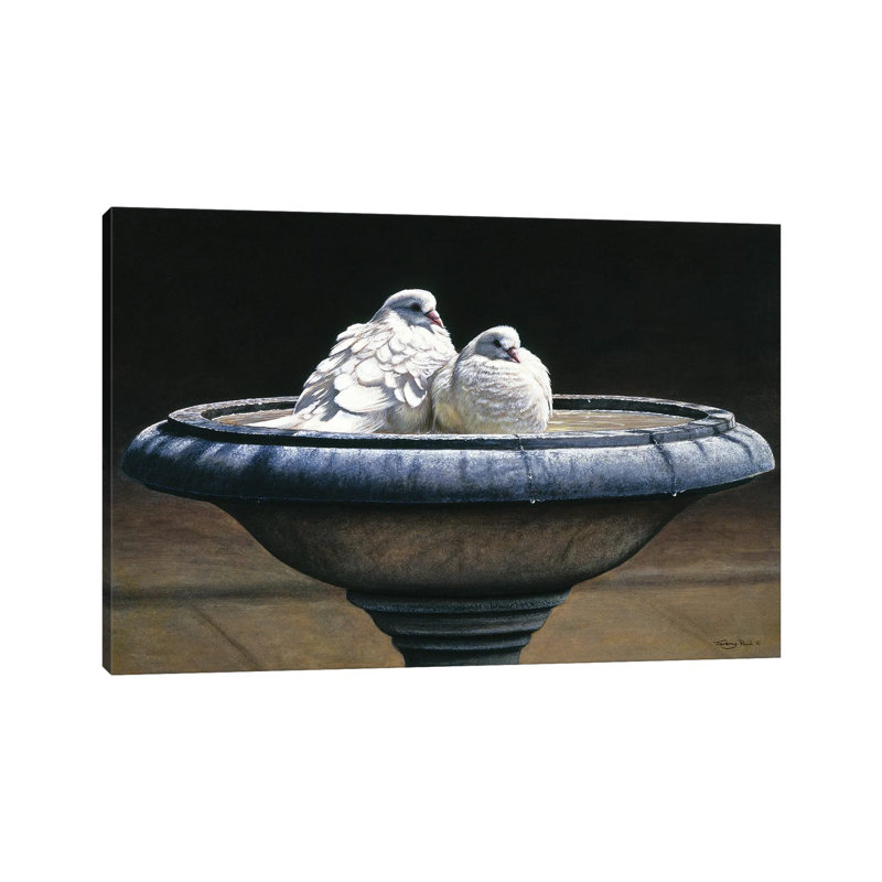 «Bird Bath» par Jeremy Paul - Giclée sur toile tendue avec châssis, H 26 po x l 40 po x P 1,5 po