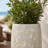 12 in. Corona Vase - White Lava