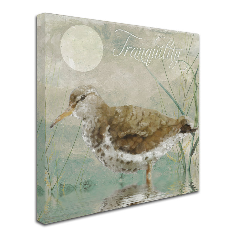 Jadaya «Sand Piper II» par Color Bakery, impression sur toile tendue, H 14 po x l 14 po x P 2 po