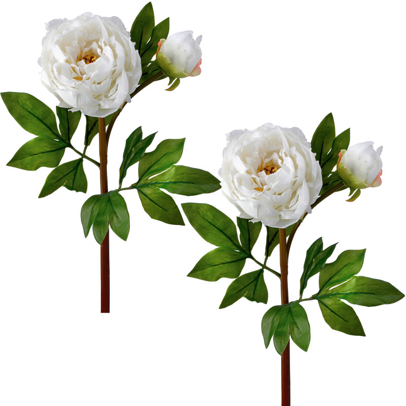 26" Just Cut Garden Peony And Bud, White, 26" H x 9" W x 6" D
