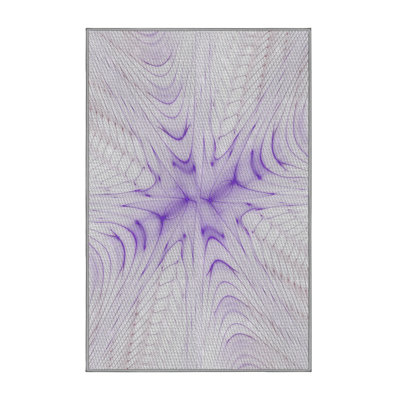 Indoor Rug