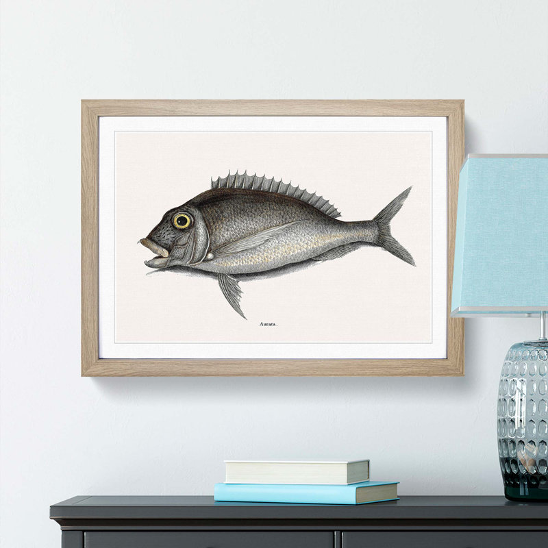 Porgy Fish by Mark Catesby - Picture Frame Painting Print, Oak, 60cm H x 91cm W x 2cm D