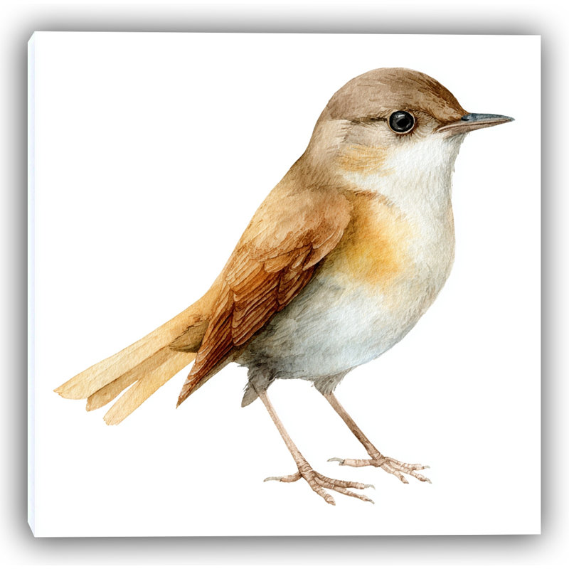 Art d'oiseau à l'aquarelle Woodland Whisper, H 20 po x l 20 po