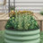 Sairah Metal Raised Garden Bed-143258494-197957091