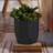 Tuxton Geometric Plastic Indoor/Outdoor Planter-98807274-98807277
