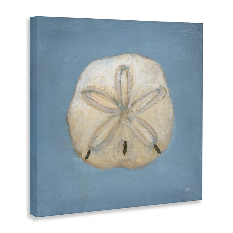Toile Soft Sea Sand Dollar, design par Julia Purinton, H 17 po x l 17 po