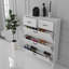 Baneen 8 Pair Shoe Storage Cabinet