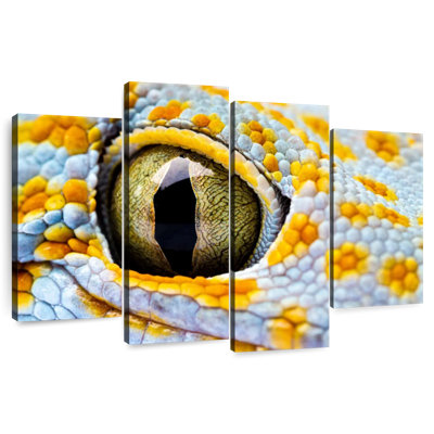 Gecko Eye