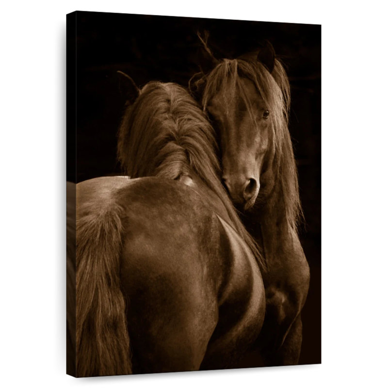 Brampt Tenderness I, 30" H x 20" W