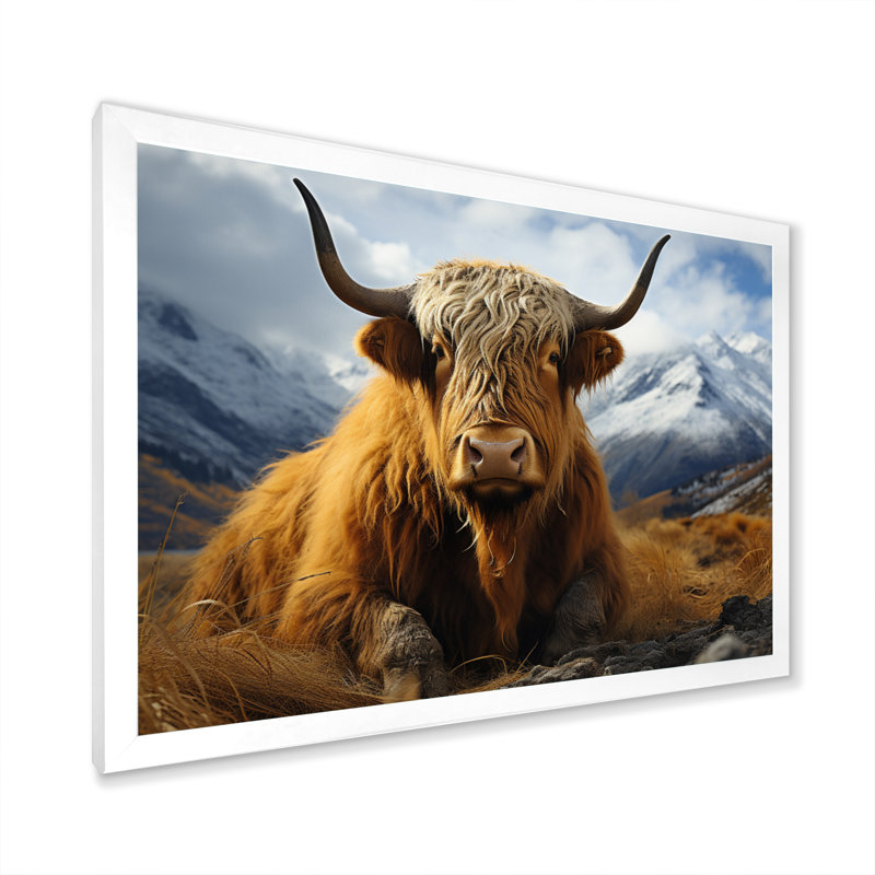 Brown Yaks In Montain I, reproduction d'art sur toile, H 24 po x l 32 po x P 1 po, Blanc