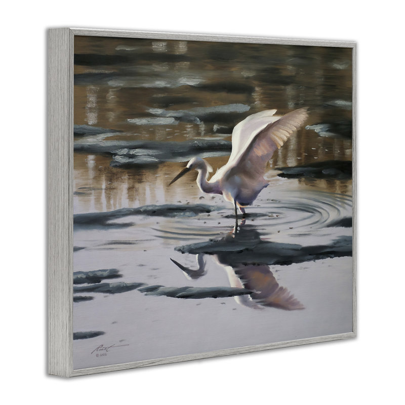 Swan Landing in Water, estampe numérique encadrée par D. Rust, H 24 po x l 30 po, Estampe numérique Farmhouse