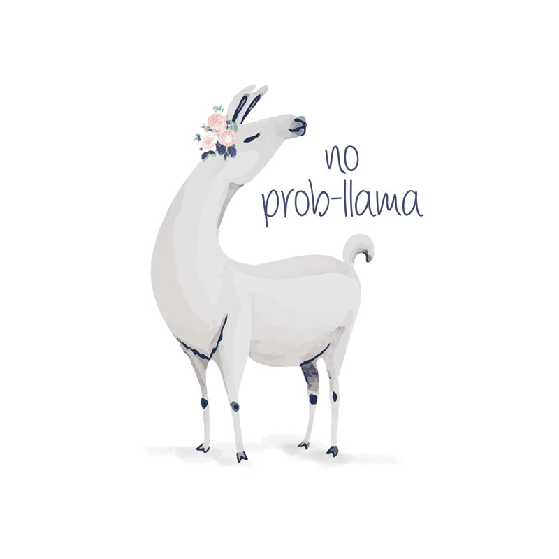No Probllama - Wrapped Canvas Print, 122cm H x 122cm W