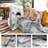 Hilda Abstract Area Rug