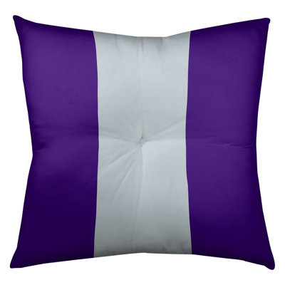 Colorado Baseball Square Pillow Cover & Insert
