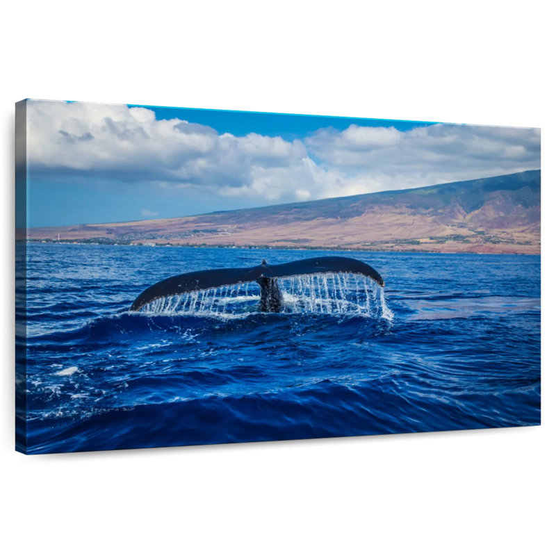 Baleine Brampt au coucher du soleil, H 20 po x l 30 po