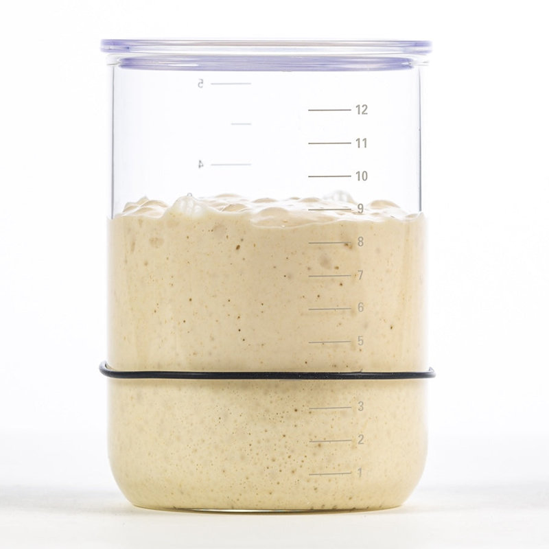 Brod & Taylor Sourdough Starter Jar