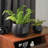 Ceramic Plant Pots 4.1+5.1+6.5 inch-1341610159