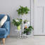 Anka Plant Stand-1754794749