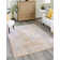 Saphira Chenille Oriental Indoor Rug