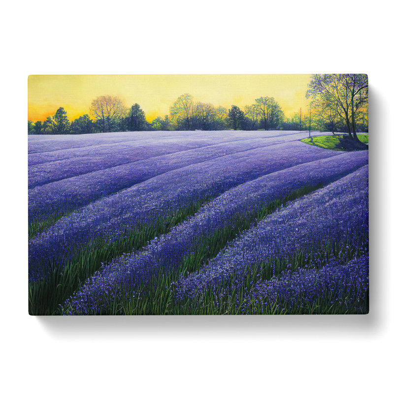 Glorious Bluebell Field - Wrapped Canvas, 35cm H x 50cm W x 3cm D