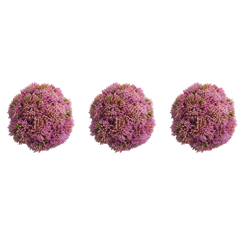 Decorative Sedum Balls, Pink
