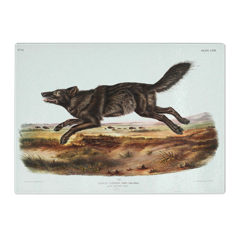 Tempered Glass American Wolf by J.W. Audubon Chopping Board, 39 cm x 28.5 cm