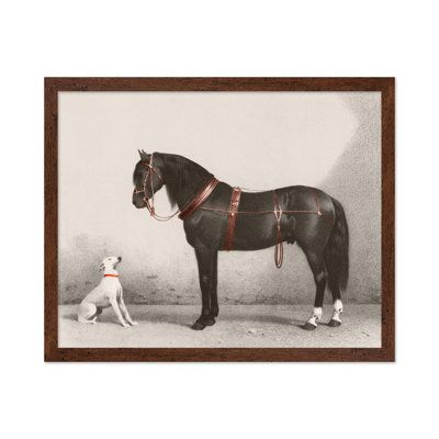 Horse and Dog