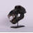 Monkey Baboon Skull Life Size Statue