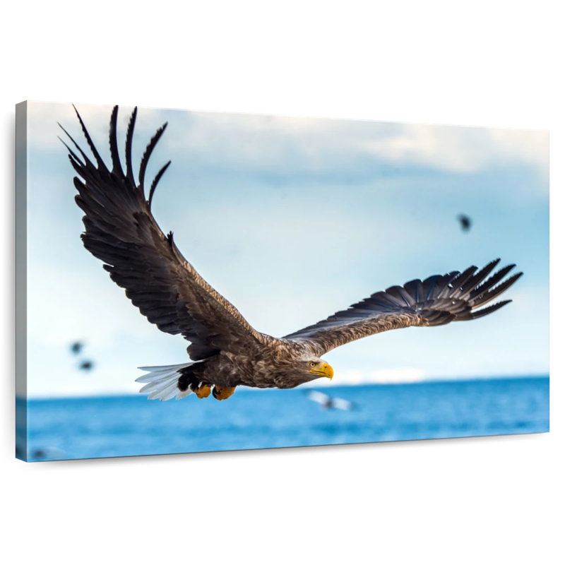 Eagle In Flight, 34" H x 51" W