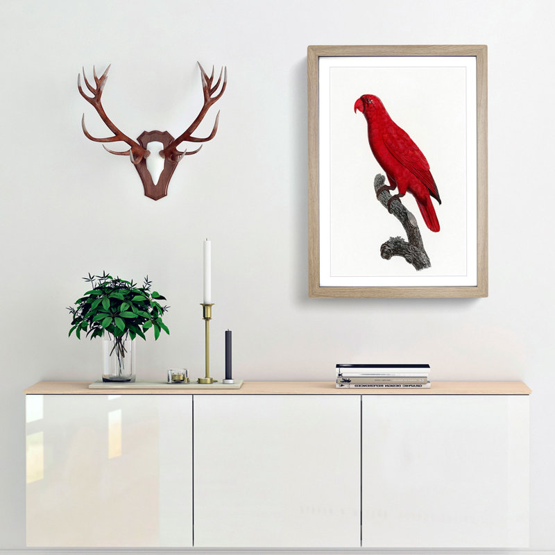 Cardinal Lory by F. Levaillant - Picture Frame Painting Print, 36cm H x 27cm W x 2cm D, Oak Framed