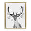 Art mural sur toile Disco Balls & Fawn par Victoria Barnes-1796177533-1811200349
