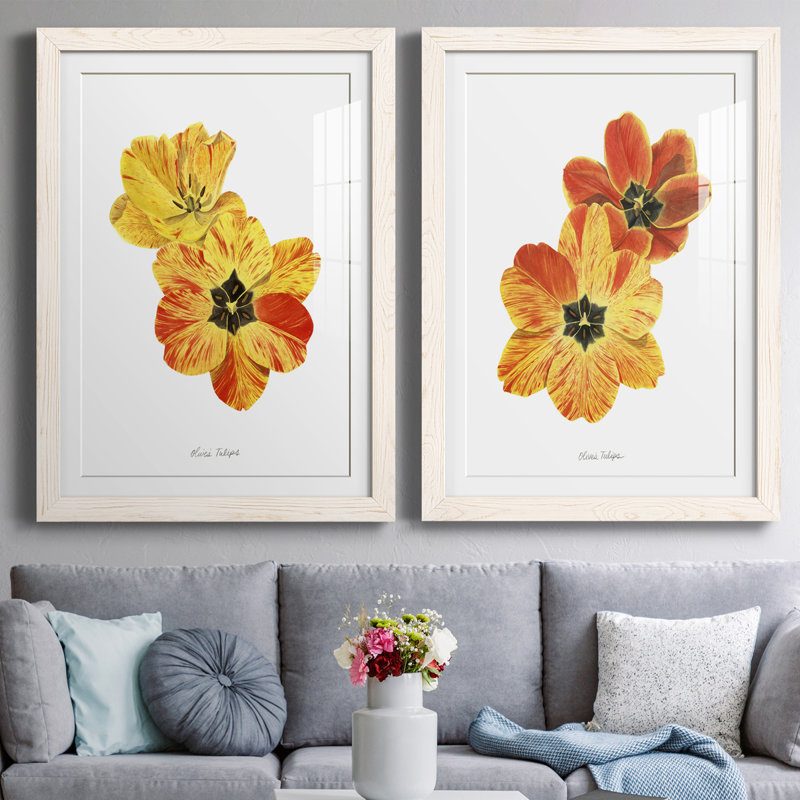 Olive's Tulips I Premium encadré mat - prêt à être accroché, H 24 po x l 36 po x P 1,5 po, Cadre blanc