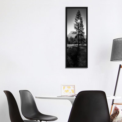 " Sun Behind Pine Tree, Half Dome, Yosemite Valley, California, USA " by Panoramic Images