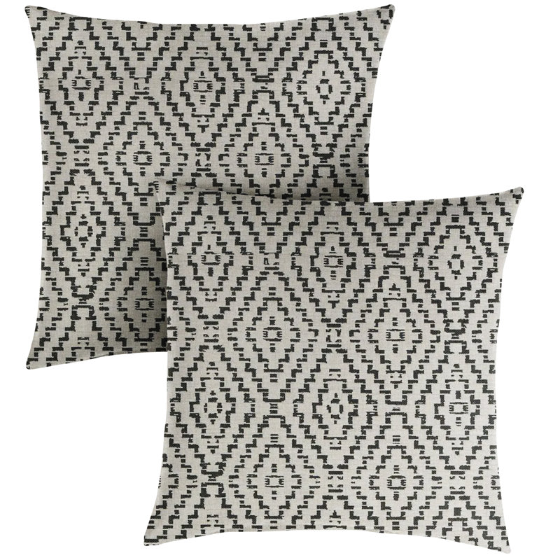 Lemario Throw Square Indoor/Outdoor Pillow Cover & Insert, 20"  x 20" 