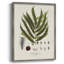 «Botanical Society Ferns II», reproduction encadrée - bois massif-562381093